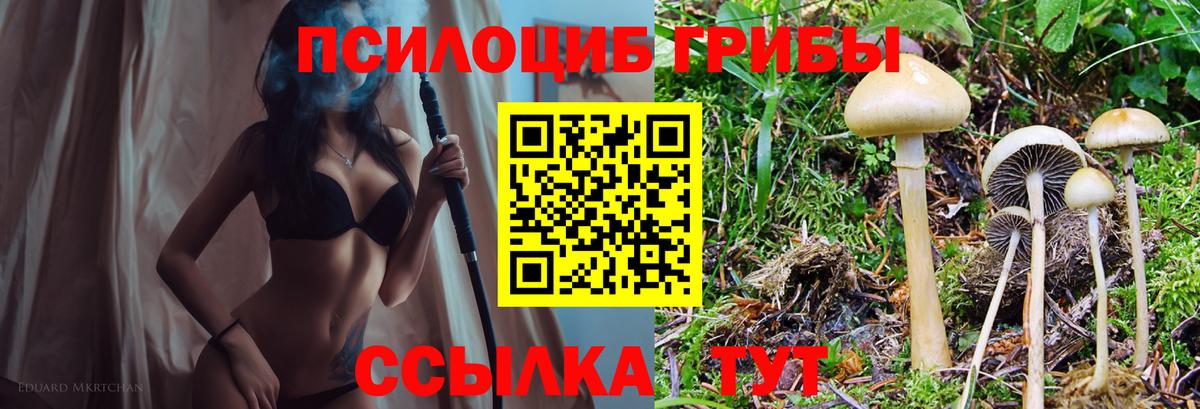 Гулькевичи  Псилоцибиновые грибы мухоморы  Галлюциногенные грибы GOLDEN TEACHER  Вход с VPN 