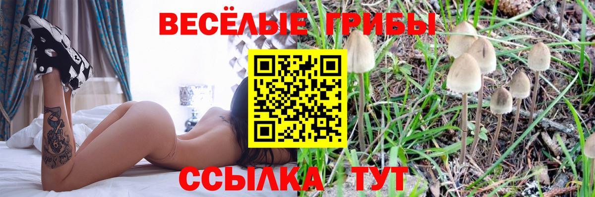 Псилоцибиновые грибы GOLDEN TEACHER Гулькевичи